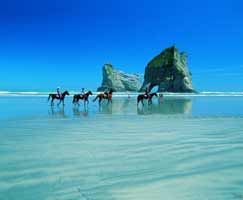 New Zealand Holiday Package